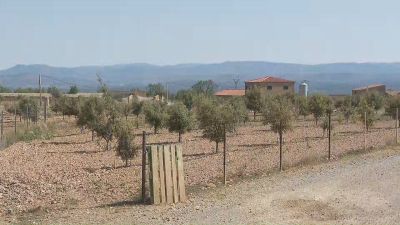Con este sistema se regarán casi 1.000 hectáreas de Sarrión, Albentosa, Manzanera y La Puebla de Valverde. / Aragón TV
