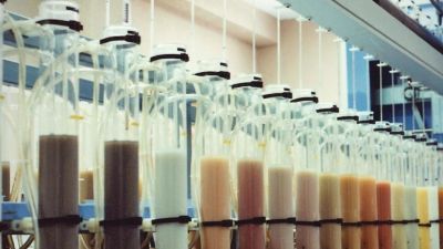 Se trata del primer laboratorio en esta materia. / Laboratorio Agroambiental