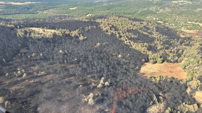 El fuego ha calcinado 280 hectáreas. / Infoar