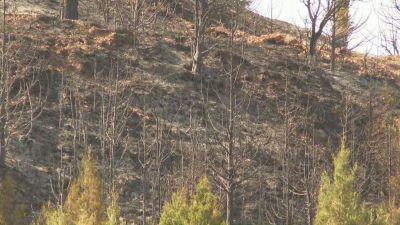 El incendio de Corbalán de hace unos días ha sido el más grave dentro del verano en Aragón. / Aragón Tv