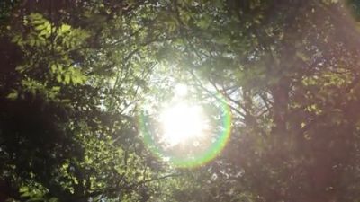 El sol será prdominante en todo Aragón en las próximas horas. / Aragón Tv