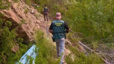 Los agentes incautaron 1.630 plantas y detuvieron a un hombre de 44 años.​​​/ Aragón TV