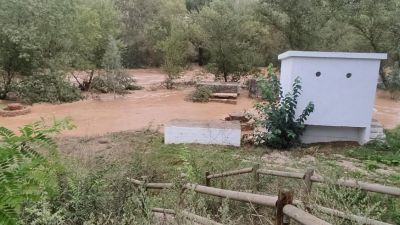 Riada en un municipio aragonés tras las tormentas de los últimos días. / Gobierno de Aragón