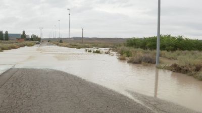 La N-2 está cerrada a la altura de Pina de Ebro (Zaragoza) por la inundación de la vía. / Aragón TV