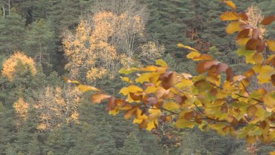 La Aemet espera un otoño más cálido de lo normal. / Aragón TV