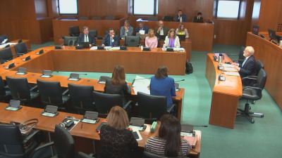 Comisión de Bienestar Social celebrada este martes en las Cortes de Aragón. / Aragón TV
