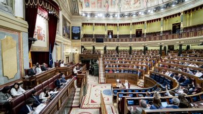 El Congreso de los Diputados vota la Ley ELA. / Europa Press A. Pérez Meca