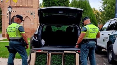 Los agentes encontraron 312 plantas de marihuana listas para su cultivo. / Europa Press