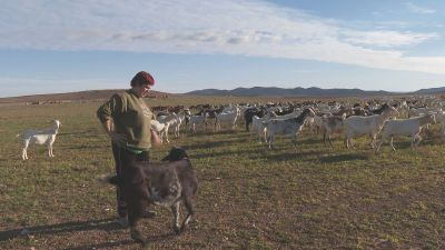 15 de octubre, Día Internacional de la Mujer Rural. / Aragón TV
