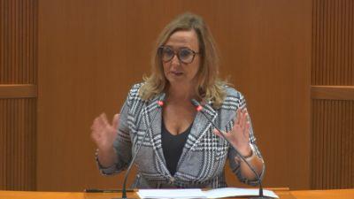 Mayte Pérez, portavoz socialista. / Aragón TV