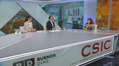 La responsable del CSIC en Aragón, María Jesús Lázaro, en el programa Buenos Días. / Aragón TV