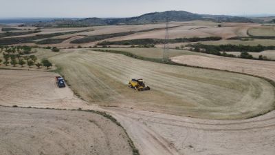 La industria agroalimentaria impulsa el crecimiento de la economía en la provincia de Huesca. / Aragón TV