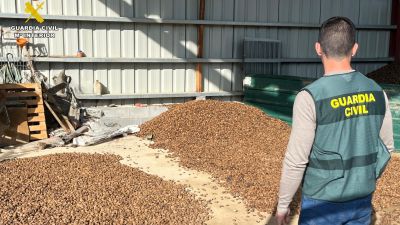 Las almendras fueron sustraidas en dos explotaciones. / Guardia Civil Huesca