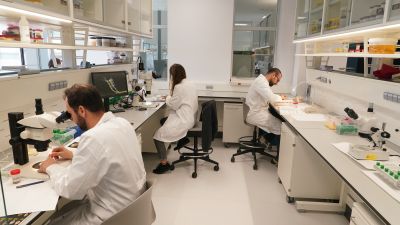 Un laboratorio con investigadores. / Europa Press