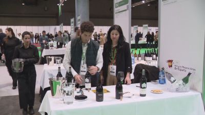 Dos vinos aragoneses superan la clasificación de 95 puntos sobre 100. / Aragón TV
