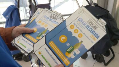 Campaña Gran Recogida 2024 del Banco de Alimentos. / Aragón TV