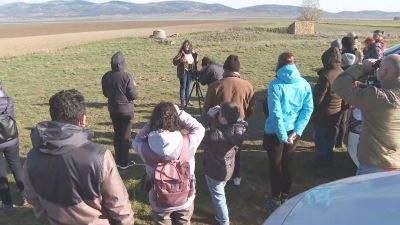 De ruta con las grullas en la laguna de Gallocanta, uno de los planes para este finde. / Aragón TV