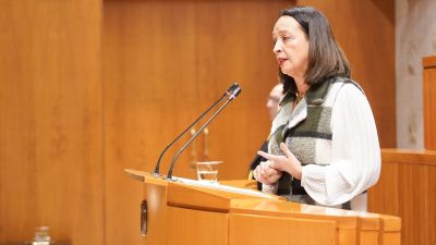 La consejera de Bienestar Social y Familia del Gobierno de Aragón, Carmen Susín./ Cortes de Aragón