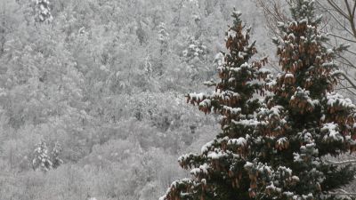 También se esperan precipitaciones en el Pirineo y Cinco Villas desde la mañana. / Aragón TV