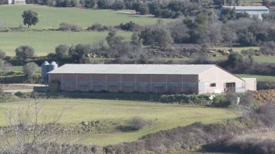 La granja donde se ha registrado el accidente laboral. / Aragón TV