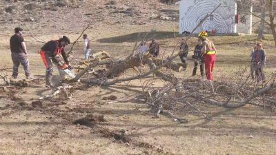 Los troncos y ramas arderán esta tarde en una hoguera en la plaza de la localidad. / Aragón TV