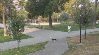 Los primeros pasos de este plan ya se han dado con la reforma del albergue y la rehabilitación de viviendas. / Aragón TV