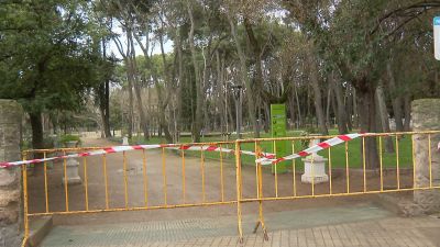 El parque Miguel Servet de Huesca se ha cerrado por el viento. / Aragón Tv