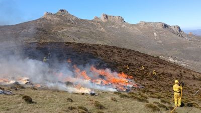 Quema en Calcena durante el último día del plazo. / Gobierno de Aragón