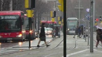 El tranvía y el autobús se verán afectados a su paso por el paseo Independencia. / Aragón TV