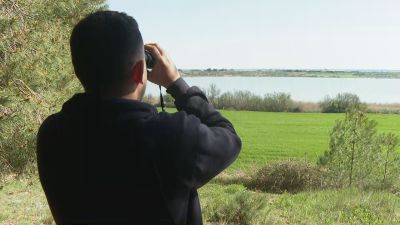 La Laguna de Sariñena es un humedal perfecto para ver aves. / Aragón Tv