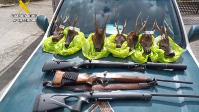 Trofeos de caza y armas intervenidas a los denunciados. / Guardia Civil Huesca