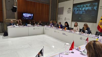 Momento de la conferencia sectorial celebrada este martes. | Ministerio de Igualdad