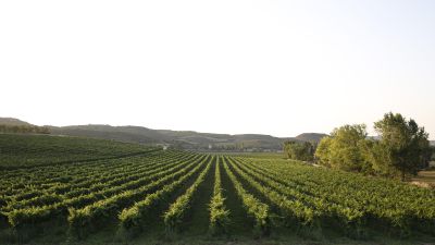 Explotación agrícola en Aragón. / Fabián Simón (Gobierno de Aragón)