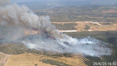El incendio ha quemado de momento 60 hectáreas de monte. / Infoar