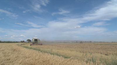 Ante la ola de calor es necesario extremar la prudencia para evitar incendios forestales. / Aragón TV