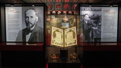 El Museo Nacional de Ciencias Naturales (MNCN) de Madrid se ha convertido en el hogar temporal del legado de Santiago Ramón y Cajal / EFE/Mario Morón