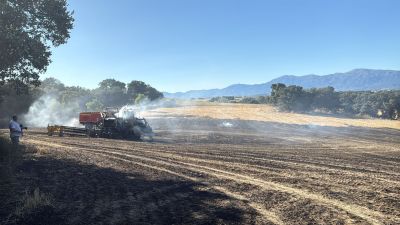 Declarado un incendio forestal en Angüés. / Mariluz Ulecia