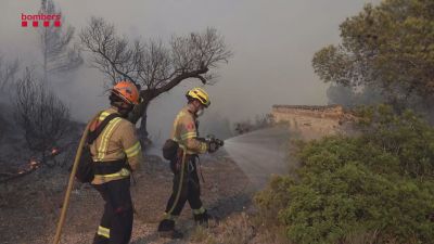 El incendio de alta intensidad de Paüls comenzó el pasado lunes. / Aragón TV