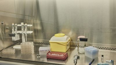 Concedidas 19 ayudas pioneras en Aragón para contratar a jóvenes doctores investigadores. / EP