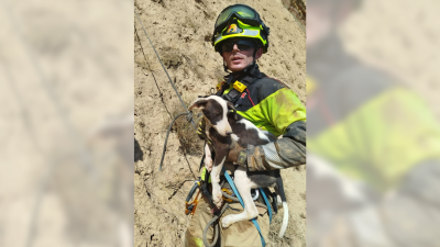 El perro rescatado junto al bombero del parque de Monzón. / DPH