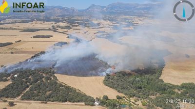 El fuego se ha declarado a las 15:54 horas de este domingo. / INFOAR