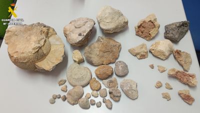 Parte del material intervenido en la operación. / Guardia Civil Teruel