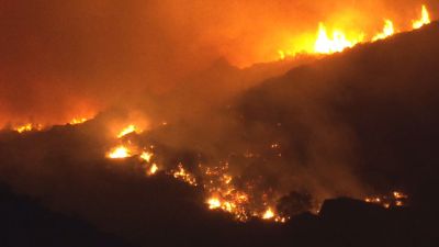 El incendio de Tarifa continuaba con una gran actividad en la noche de este martes. / Forta