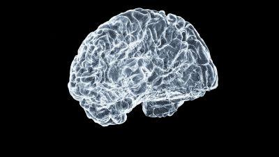 El alzhéimer implica una serie de anomalías cerebrales. / Unsplash