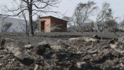 Zona arrasada por el incendio forestal de Abejera (Zamora). / EFE. Mariam A. Montesinos