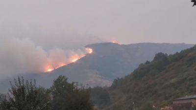 Avance de las llamas en uno de los incendios activos en Zamora. / Forta