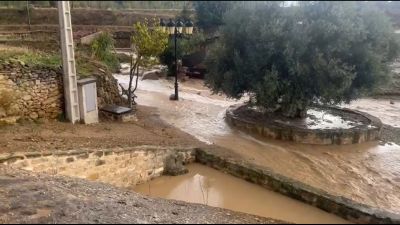 Los cultivos de olivos y almendros han sido los más afectados. / Patricia Turón