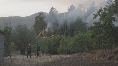 Actualmente hay 188 investigaciones policiales en curso y 93 personas más figuran como investigadas / Reuters