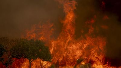 Incendio en A Gudiña (Ourense). / EFE