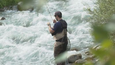 En Aragón hay activas cerca de 55.000 licencias de pesca. / Aragón TV